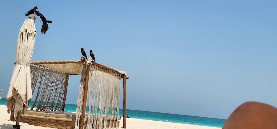 Kai Beach Saadiyat