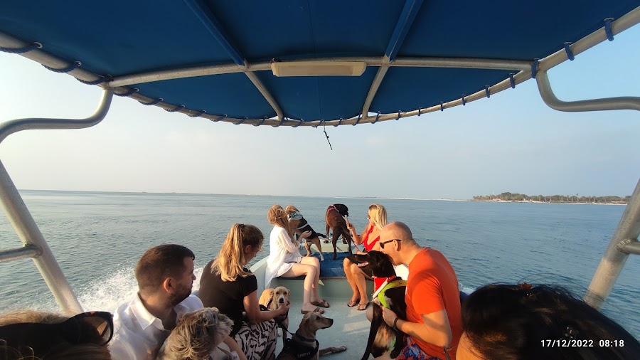 Elon yachts and boat rental