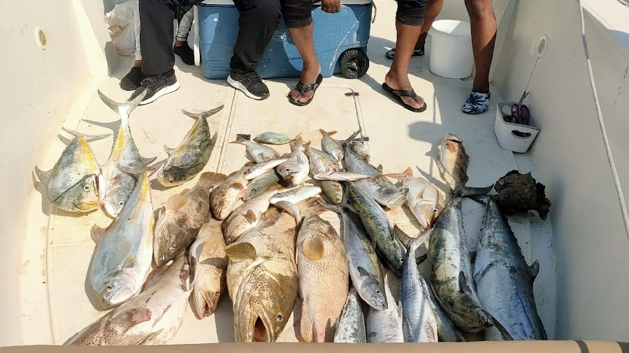 Fishon Charters Abu Dhabi: From Newbie to Pro – Family-Friendly Fishing Adventur — photo 2