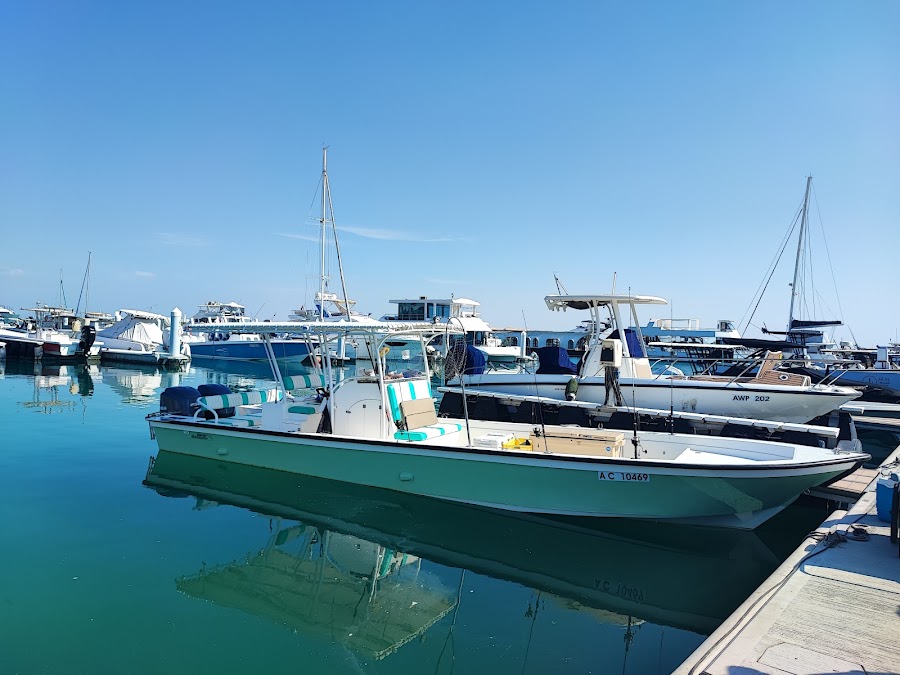 Fishon Charters Abu Dhabi: From Newbie to Pro – Family-Friendly Fishing Adventur — photo 3