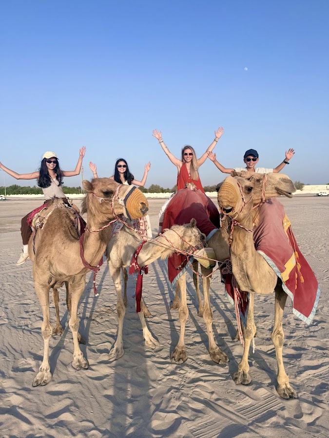 Desert safari doha qatar — photo 5