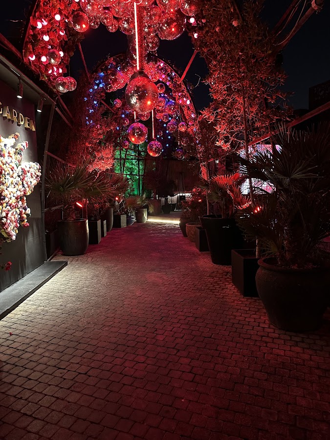 Soho Beach DXB