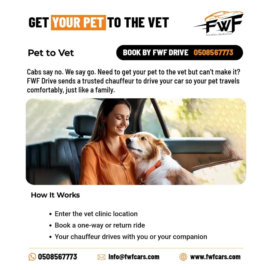 Safe Driver, Chauffeur Driver, Hire driver in dubai, After Party Pick & Drop, Fa — photo 4