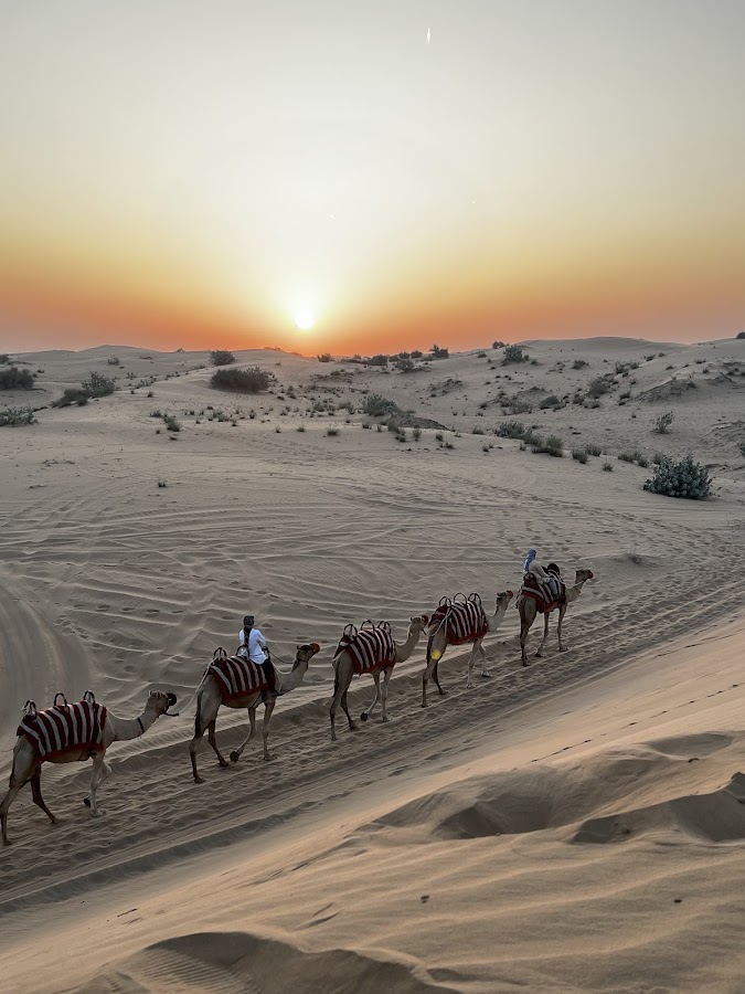 Al Khayma Camp “Elite Camping & Dining Experience.” — photo 4