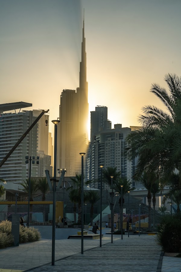 FZ Aviation | Premium Helicopter Charter Ride & Tours Dubai — photo 4