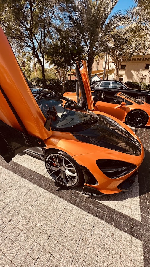 HORSE LUXURY CAR RENTAL DUBAÏ — photo 3