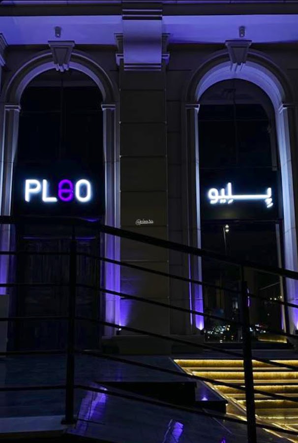 Pleo — photo 2