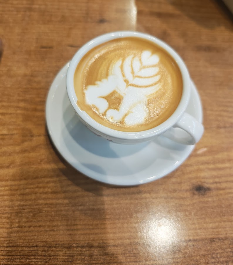 Talent Cafe — photo 2