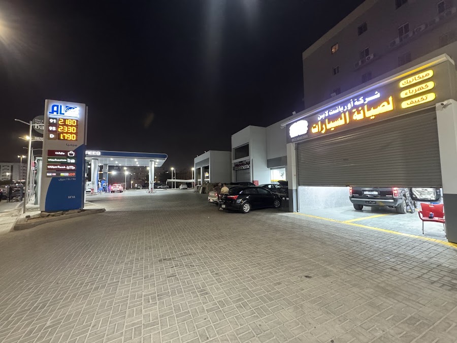 شركة أوريانت لاين — photo 3