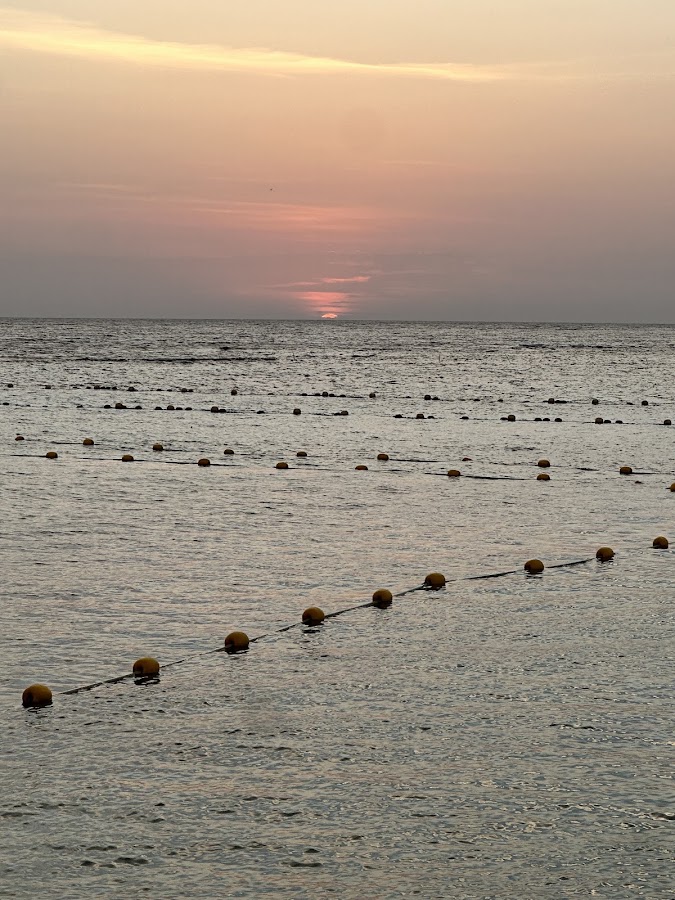 GALU Beach Club | نادي شاطئ قالو — photo 5