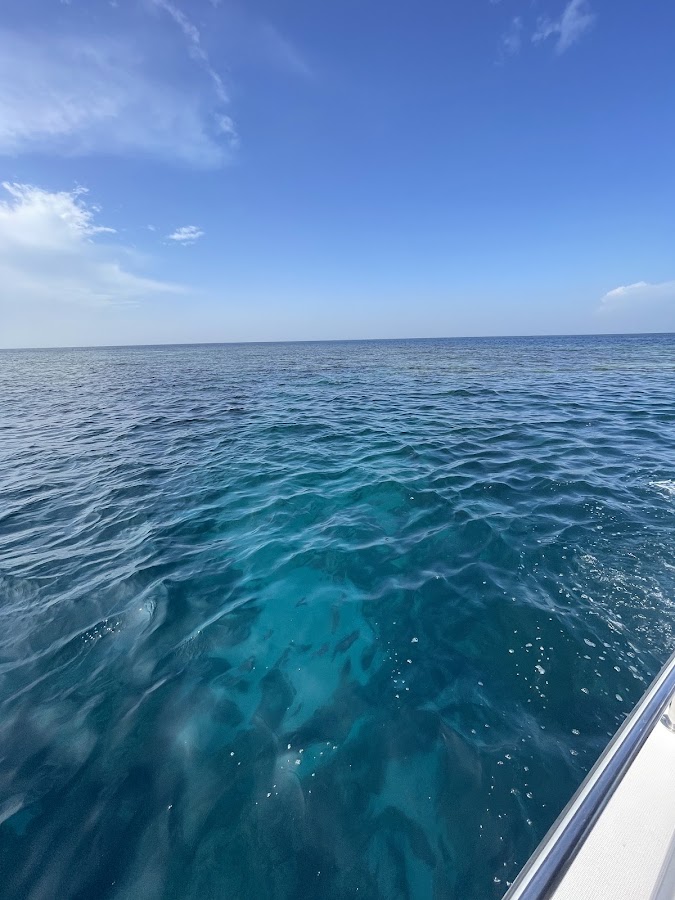 Descent Dive Club — photo 3