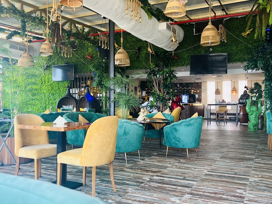 The Monkey's Lounge