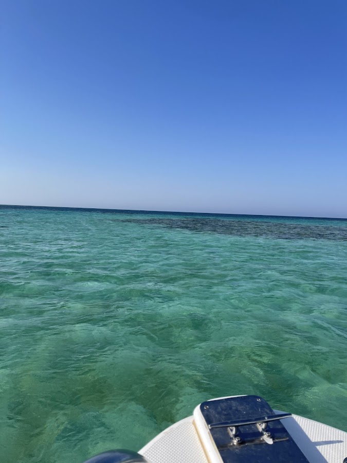 اسد البحور للرحلات البحرية Lion of the Seas Cruises — photo 2