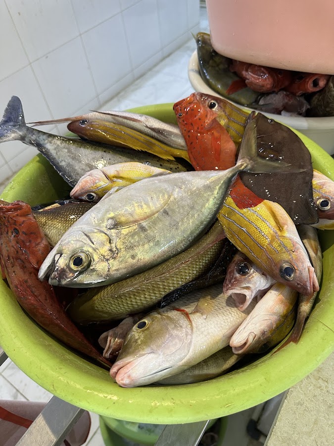 Red Sea Fun Fishing, Swimming, Diving, and Relaxation Trips رحلات صيد واستجمام — photo 3