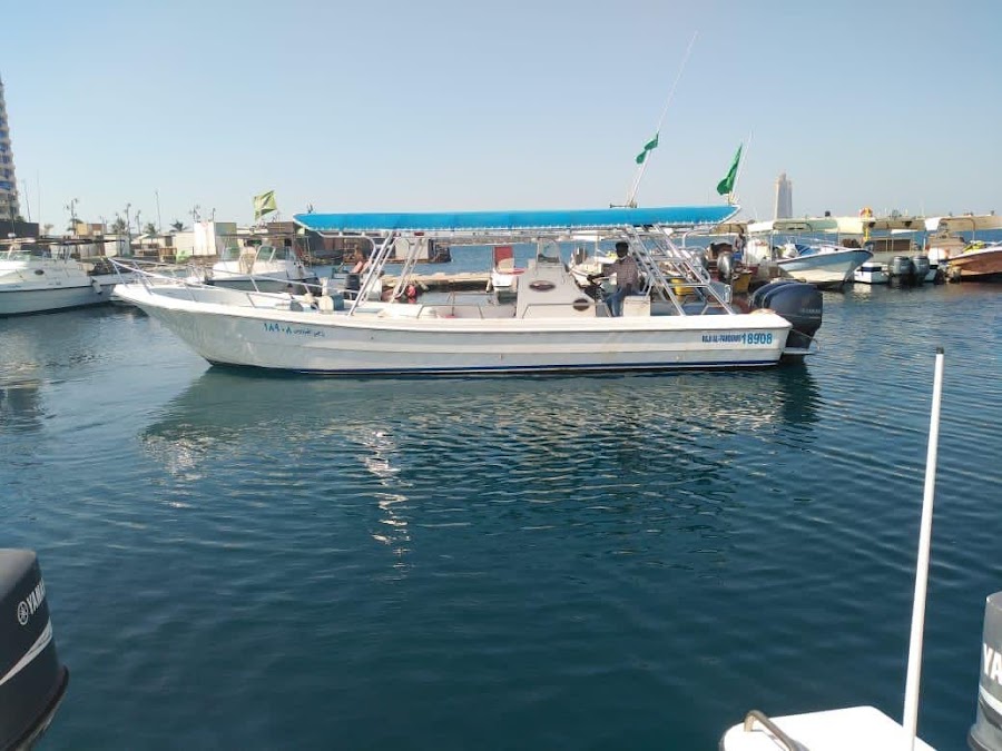كنج فيش — photo 3