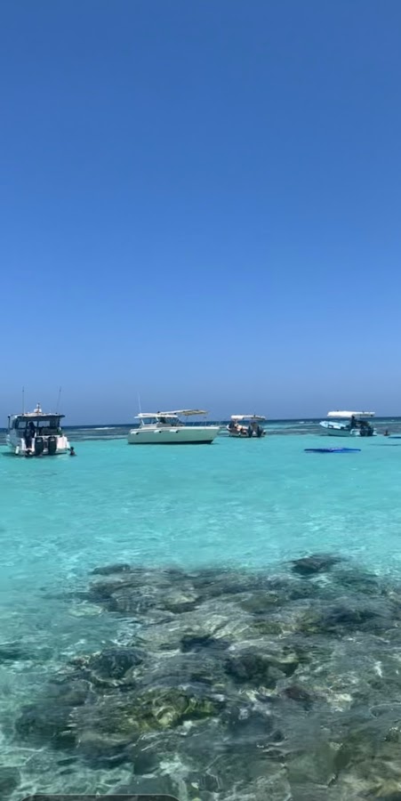 Ammar marine (عمار مارين للرحلات البحرية) — photo 2