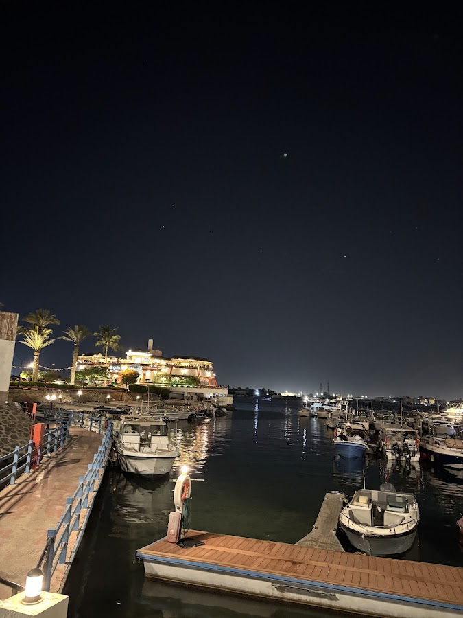 مرسى أمانة جدة — photo 2