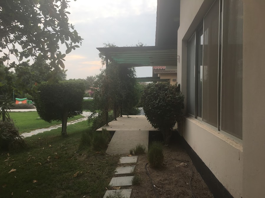 Hisham Park Saar — photo 4