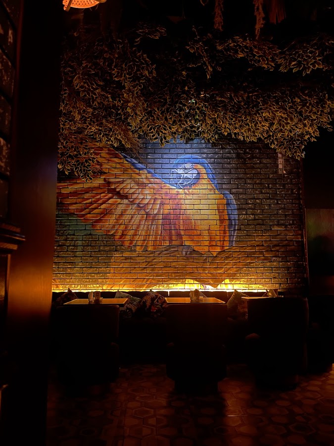 Iguana Lounge — photo 2