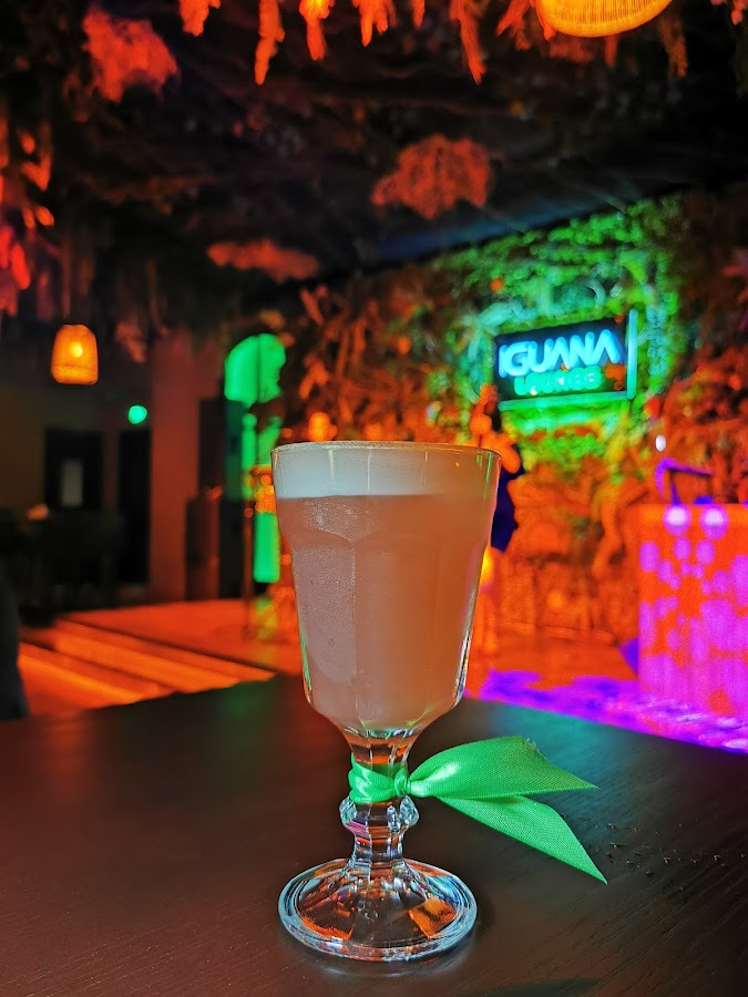 Iguana Lounge — photo 4