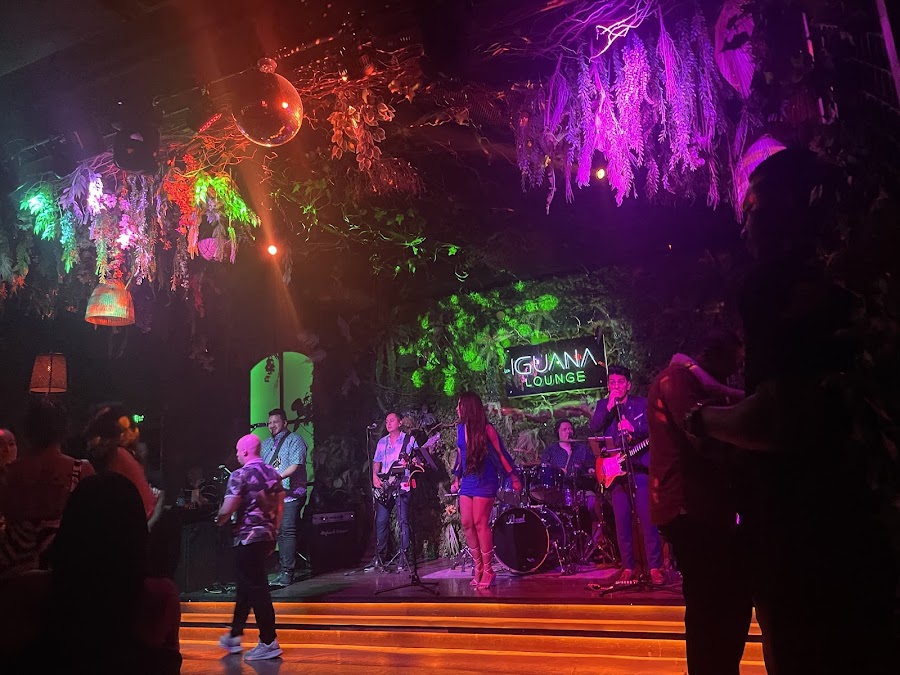 Iguana Lounge — photo 5