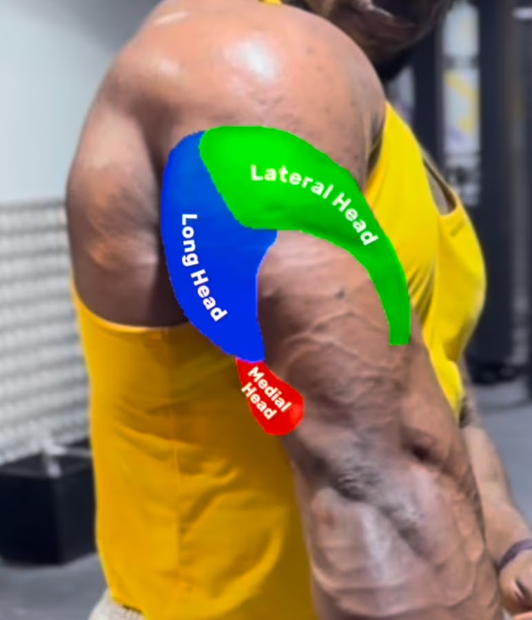 Vincent Fitness | Personal Trainer Bahrain