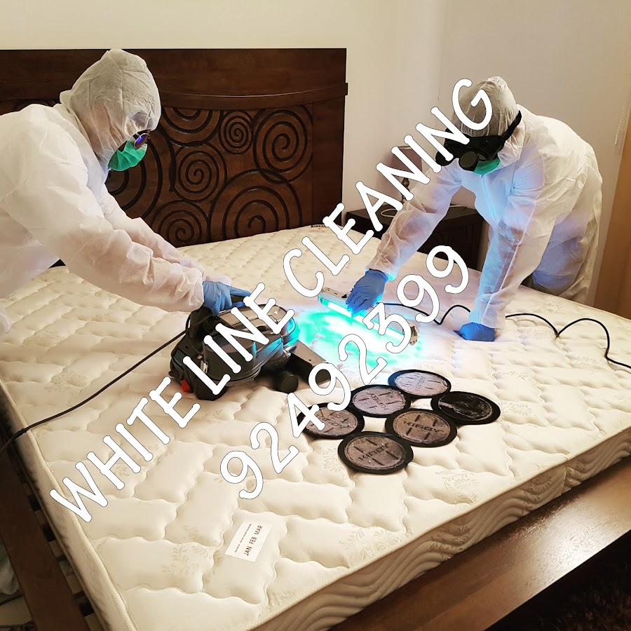 Professional Cleaning & Sterilizing Services — photo 4