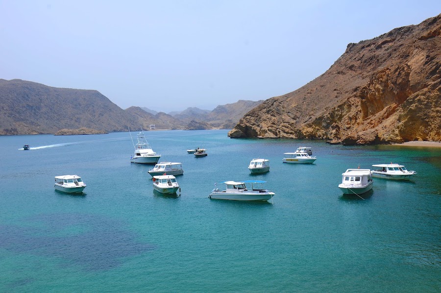 Gcc sea tours - Oman — photo 3