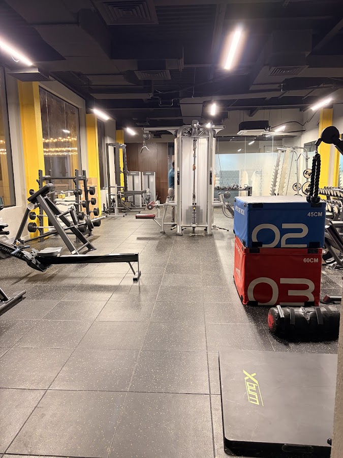 SHAPE Fitness - Personal Training — photo 5