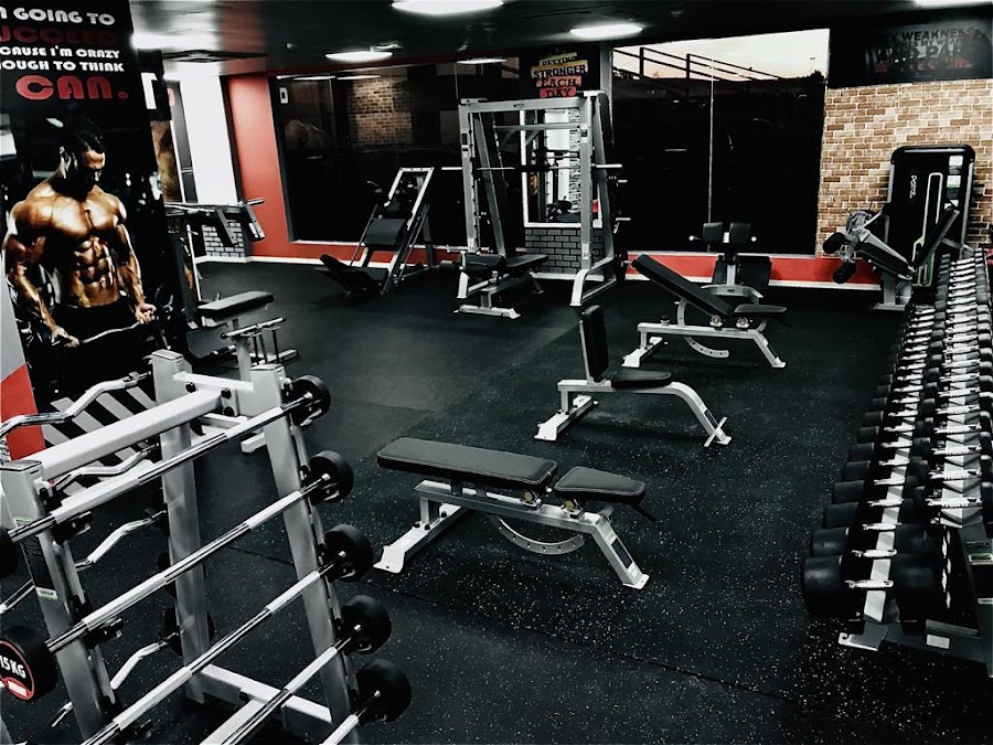 VIP GYM — photo 4