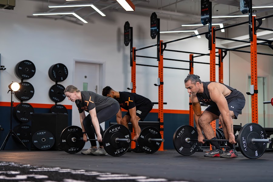 Apex Fitness — photo 4