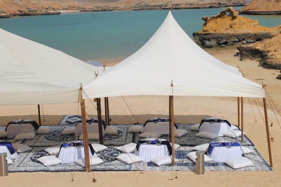 Az'Zaha Tours Muscat - Dolphin Watching Special Offer — photo 4