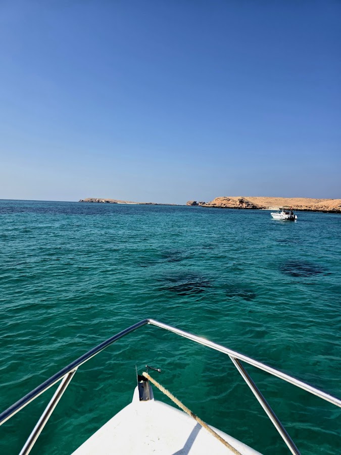 Capitano Oman - Boat Tours & Diving Trips — photo 3