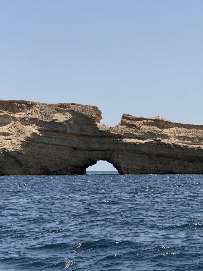 Capitano Oman - Boat Tours & Diving Trips — photo 4
