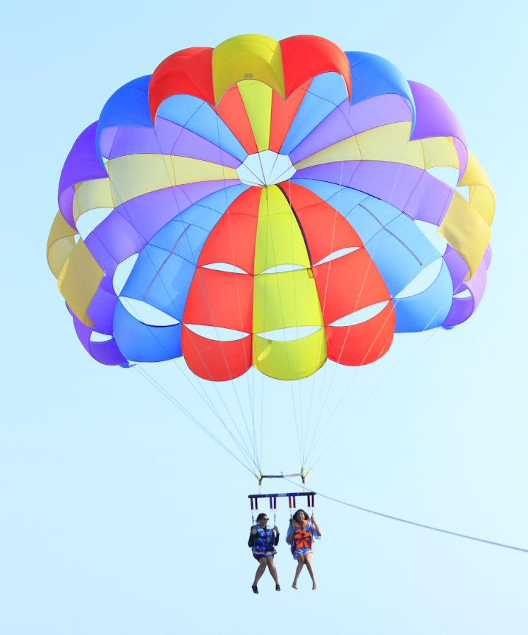 Extreme Adventures Muscat, Dolphin Tour n Snorkeling — photo 5