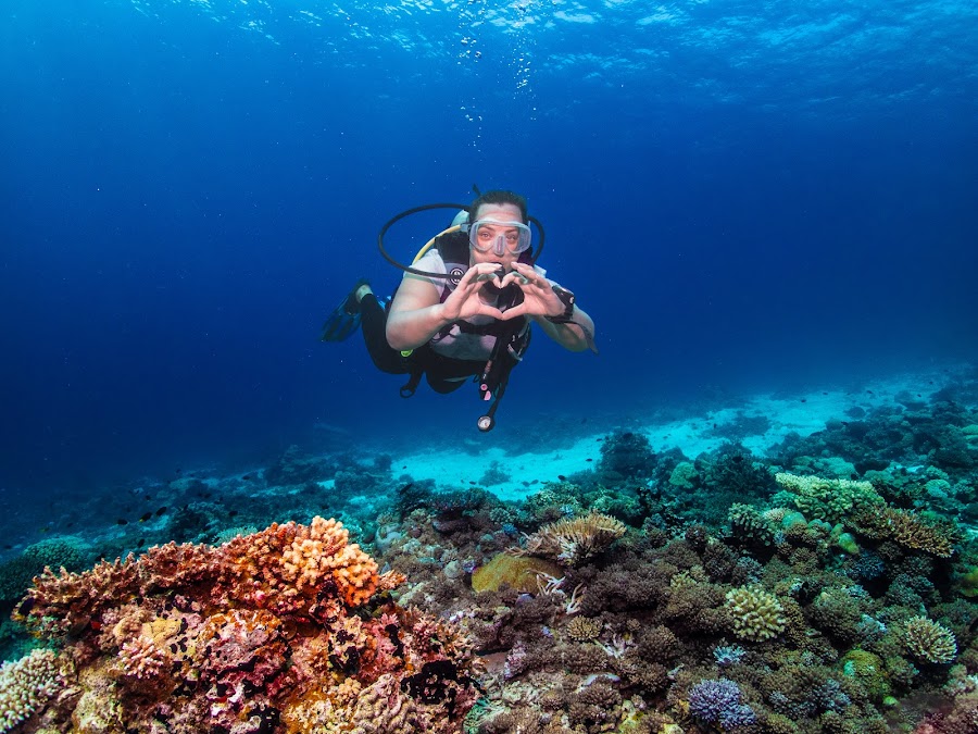 Extra Divers Qantab — photo 3