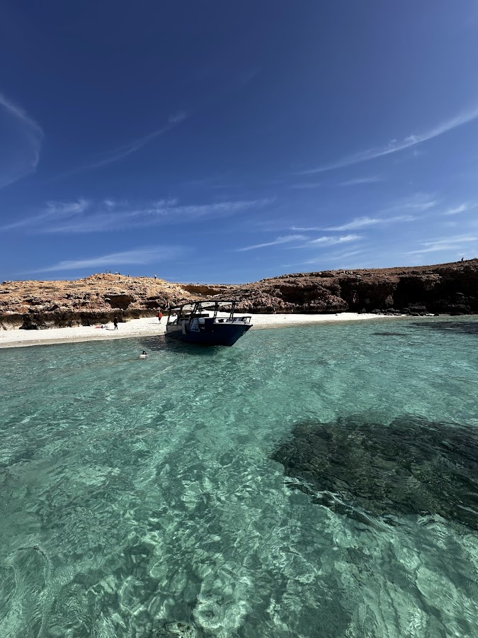 Daymaniat Shells