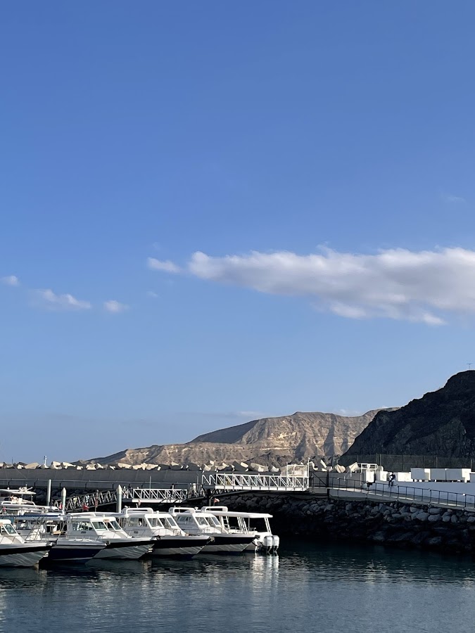 Dhow Cruise in Muscat Oman — photo 2
