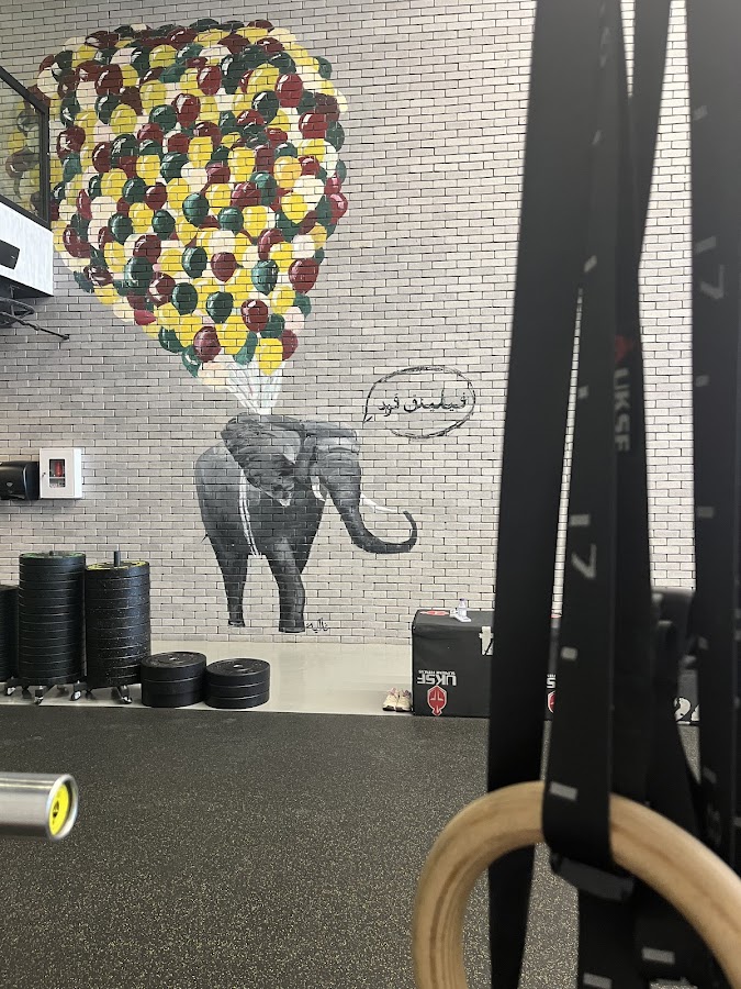 Hala Fitness — photo 3