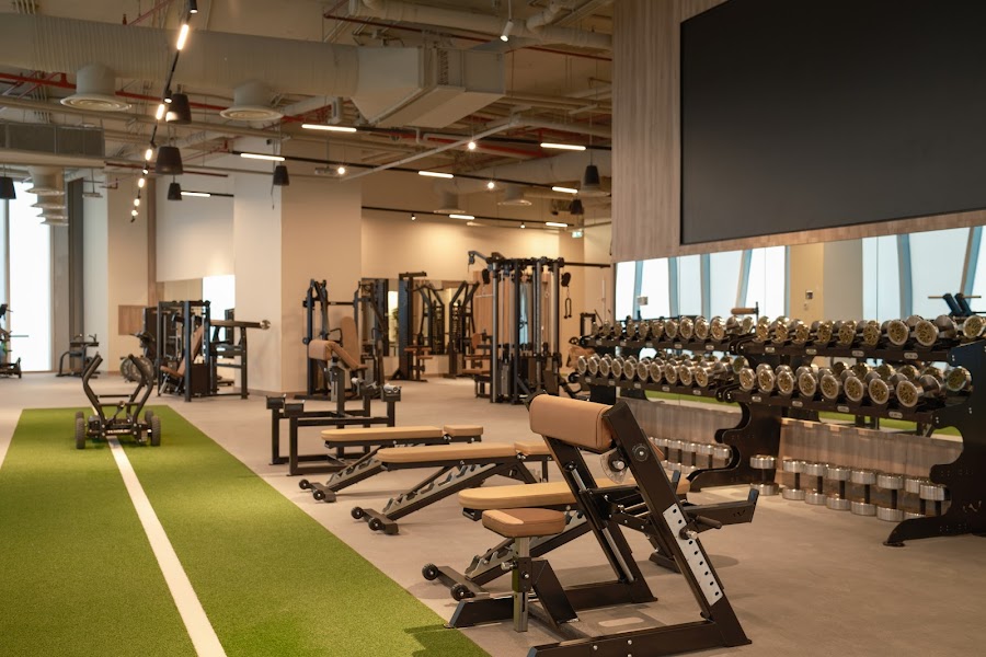 LifeLab Integrated Wellness — photo 4