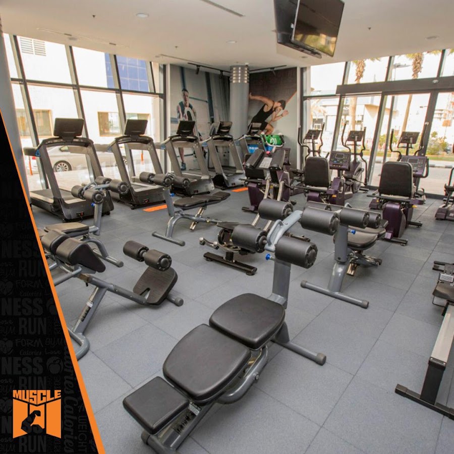 Muscle Gym — photo 3